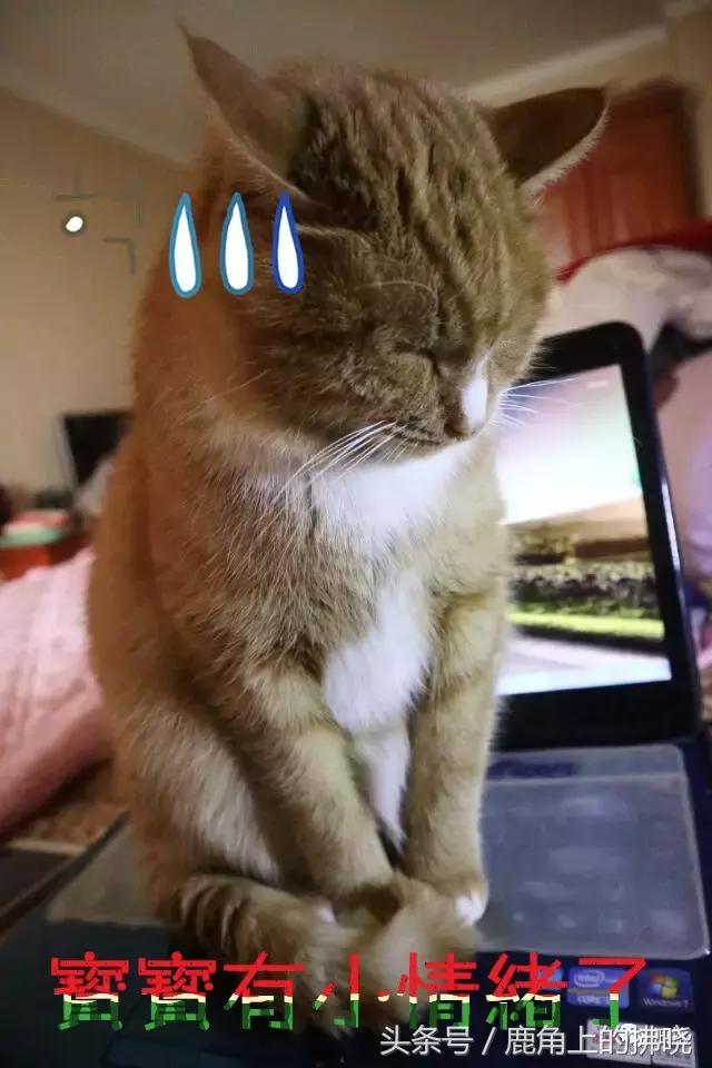 你所谓的人脉不过是一种资源置换,所谓人脉其实就是实力