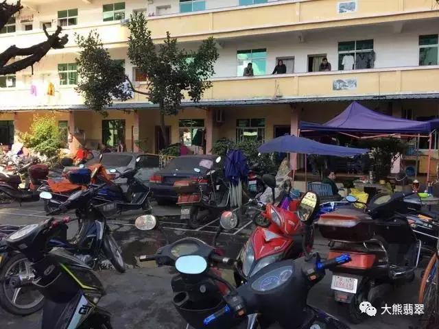 大白天宾馆拉着窗帘卖翡翠赌石，大熊买了块赌石小试牛刀竟完爆！