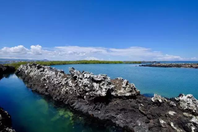 这才是旅行的样子,从亚洲至南美洲,他比我们多了点勇气和决心