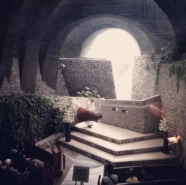 不去看樱花去看海,不去看樱花看西府海棠