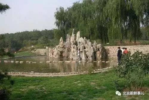 北京最美赏花公园在哪,北京赏花公园景点推荐