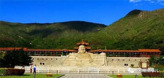 北京赏花踏青自驾游,北京国家森林公园踏青