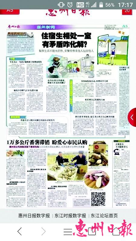 爱心认购番薯10天消化一万多公斤