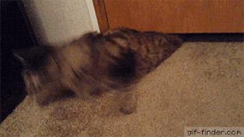 男女主人正在卿卿我我，狗狗一个嘴下来，又是一个措手不及