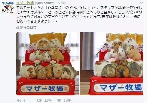 3月3日女儿节日本,日本3月3日女儿节