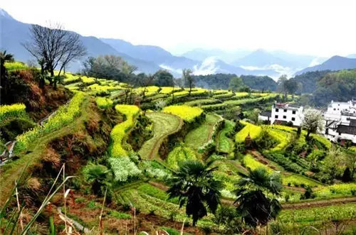 黄山宏村有啥特色小吃,黄山市黟县有什么好吃的