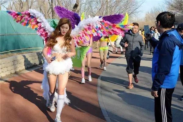 光猪跑的视频,光猪跑北京