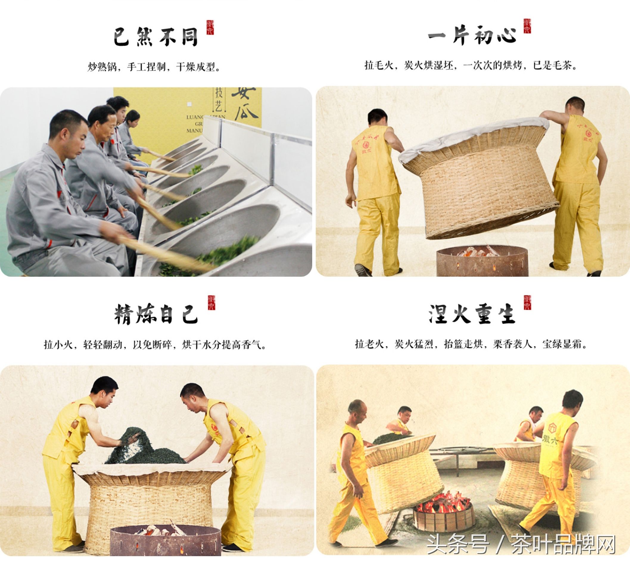 中国名茶六安瓜片得名是因为,中国历史名茶六安瓜片贡茶