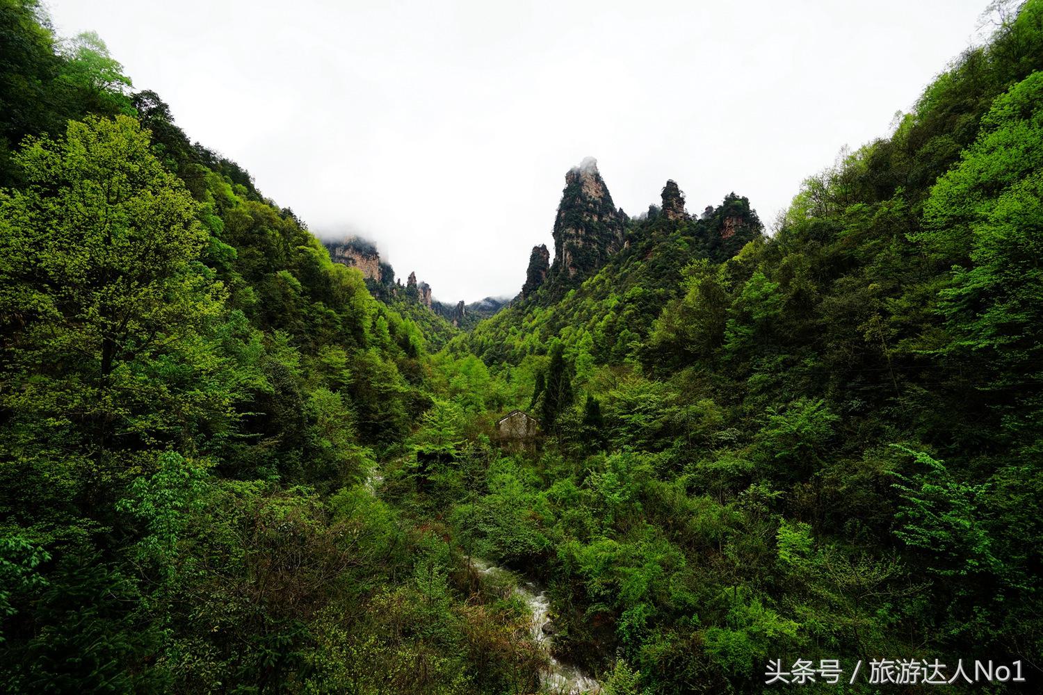 游记张家界8天旅游详细攻略,张家界天门山森林公园美景游记