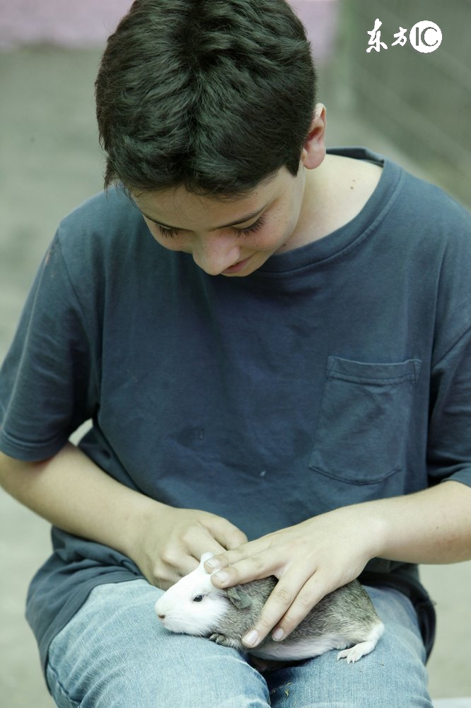 6岁孩子养宠物好处,6岁宝宝养宠物