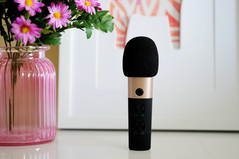 飞利浦dlk38001麦克风使用方法,飞利浦dlk38001是电容麦克风吗