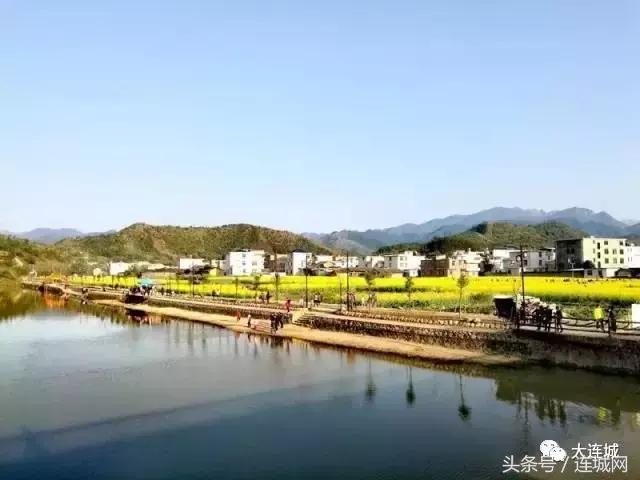 二月二龙抬头打篮球,二月二龙抬头打麻将