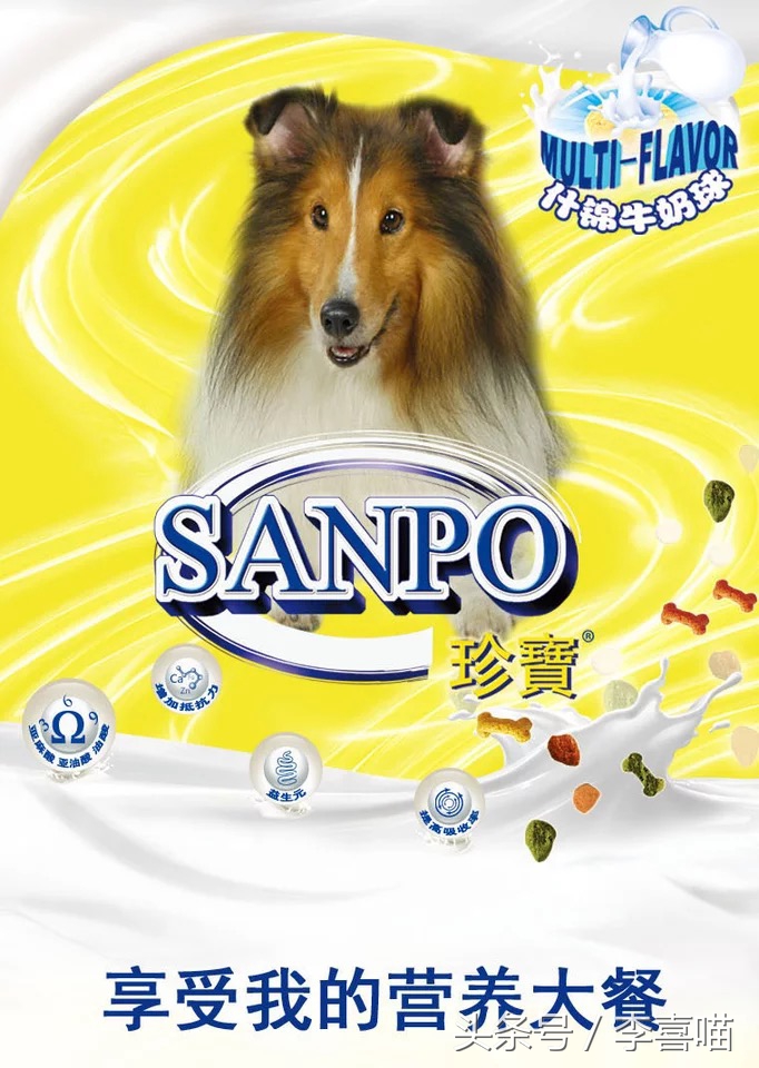 国产泰迪幼犬天然狗粮推荐,国产狗粮哪种最好