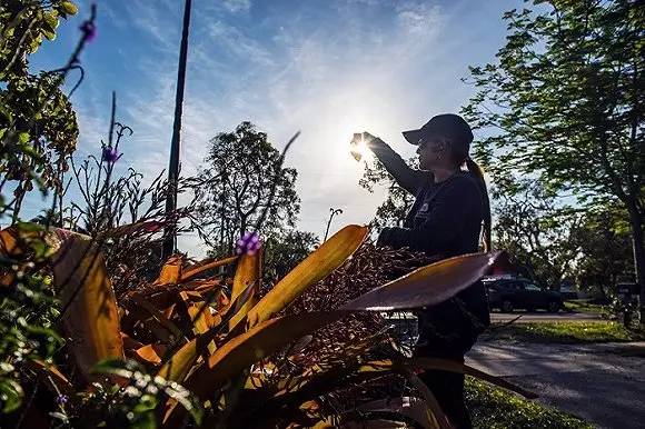 桌边社20170301：乐天，乐不起来了