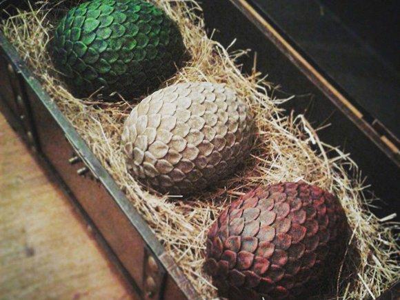 村子修路发现恐龙化石,老人挖出恐龙蛋化石