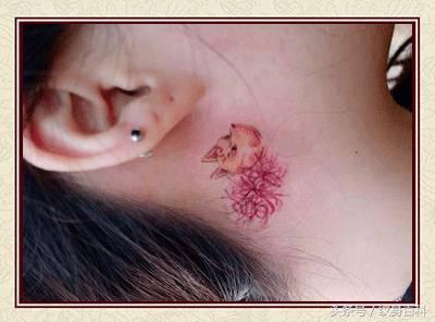 粉丝求图,粉丝求素材原图怎么回复