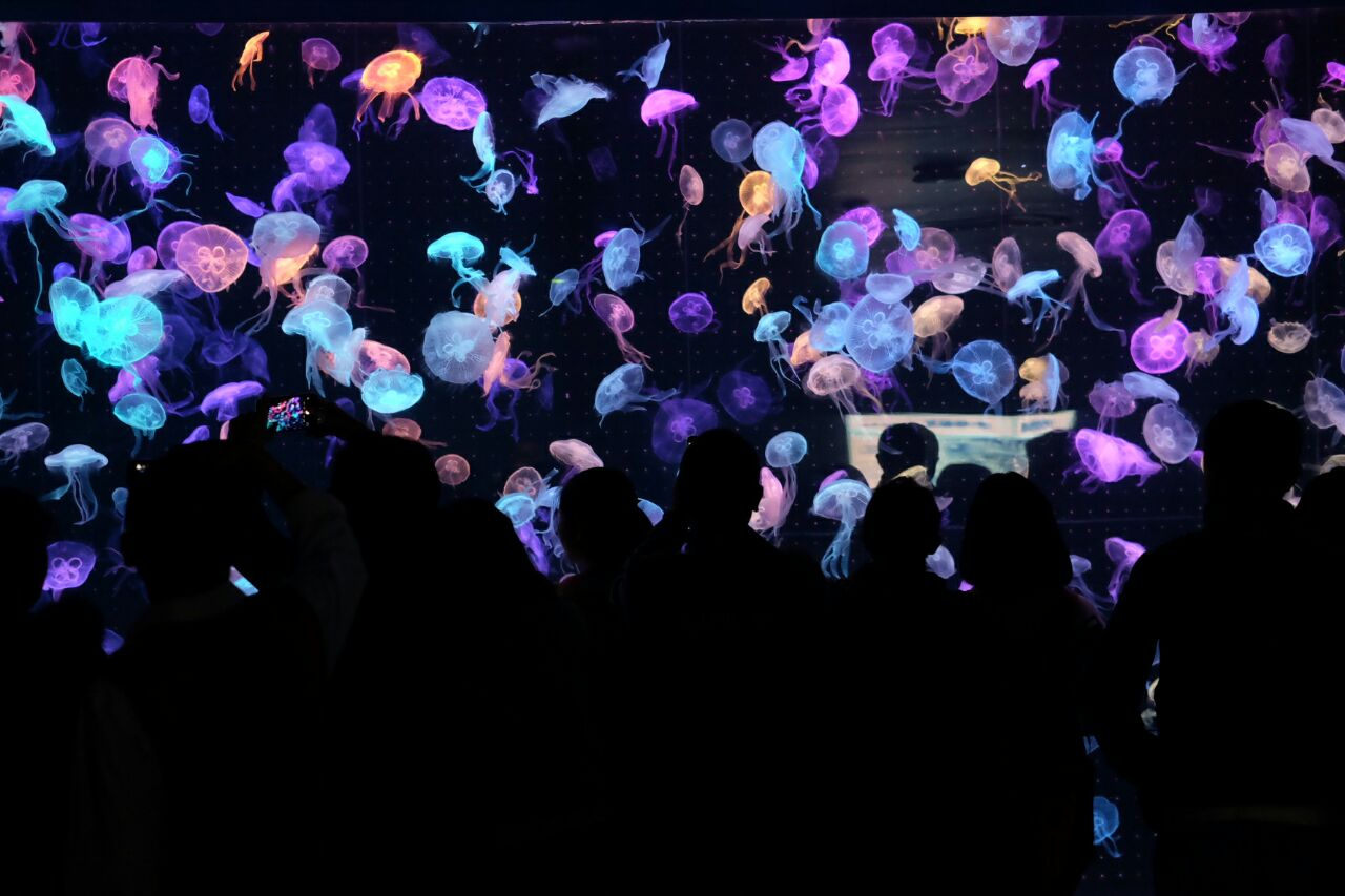 珠海三灶十大著名景点,广东珠海著名的旅游景点