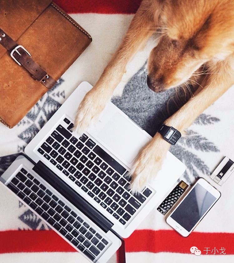 过年给公婆买什么礼物合适,过年应该给爸妈公婆买什么礼物