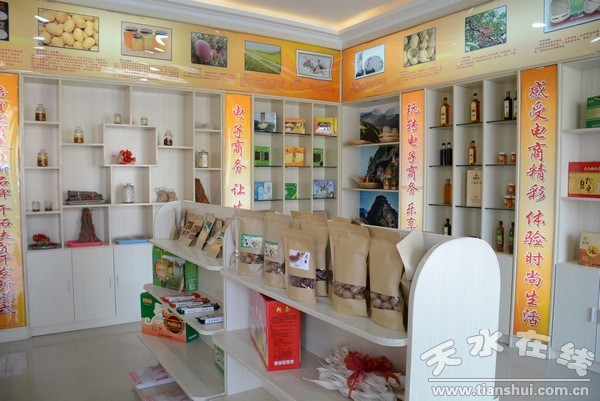 清水县组团赴西和县和礼县考察电子商务