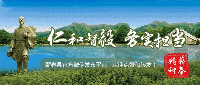 蕲艾产品有哪些品种,蕲艾哪个产品最好