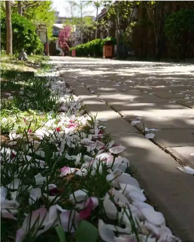 大隐于市的“顶级办公空间缔造者”——艾迪尔建筑装饰北京总部探秘「设易网1410期」