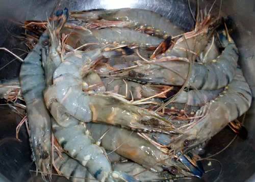 威海的海鲜什么时候是旺季,威海应季海鲜