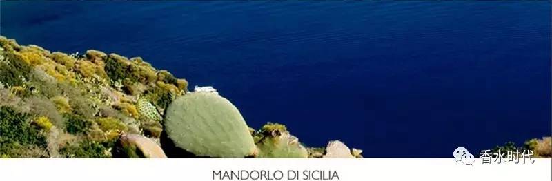 帕尔玛蓝色地中海香水,尼罗河系列香水测评