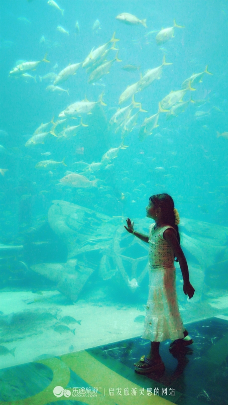 迪拜海洋馆房间,迪拜海底世界