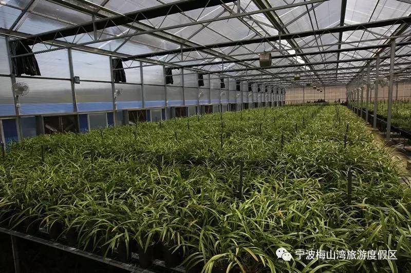 顶级赛车赛事盛况,世界顶级车展最新消息