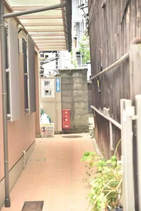 酣客为什么去日本考察？