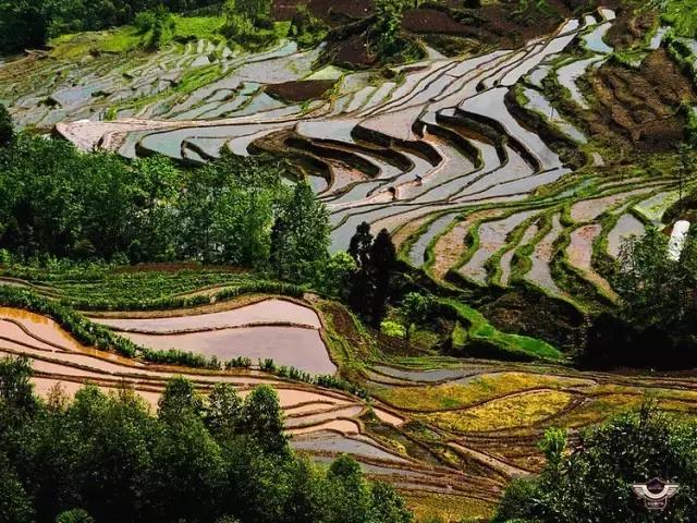 四峨梯田徒步,成都九月四姑娘山徒步一日游