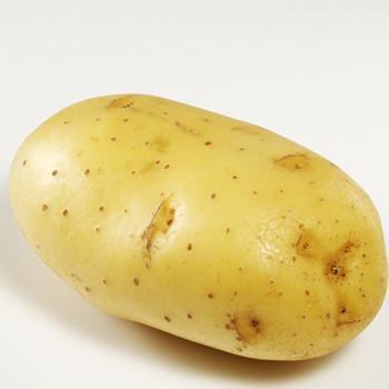 自制面膜哪个牌子好用又简单,白术白附子白芷僵蚕绿豆自制面膜