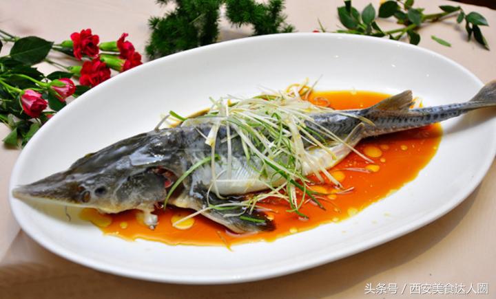 10种鱼的做法吃一月不重样,6种鱼的做法不为吃鱼再发愁