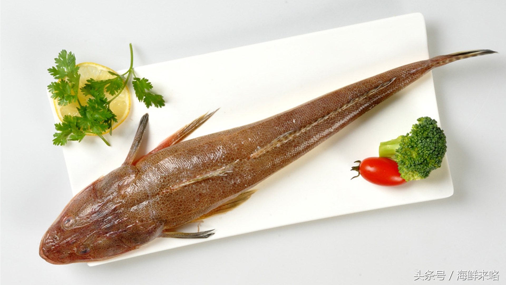 哪种海鱼吃着最简单,哪种海鱼喜欢吃肉