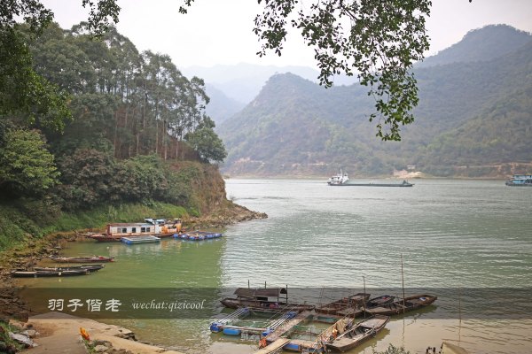 居于涟岸隐于湖，到肇庆体验离尘不离城的精致慢生活
