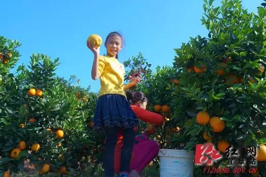 用VR看花海是种怎样的体验？这周就去免费看~