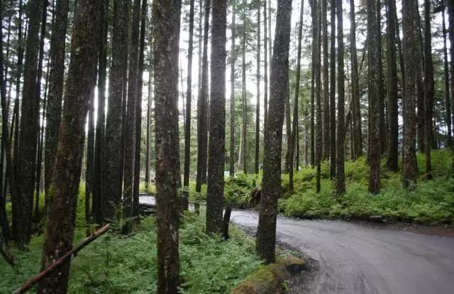 汤加国家旅游攻略,汤加国内旅游