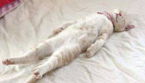 如何跨境购,跨境购和全球购买