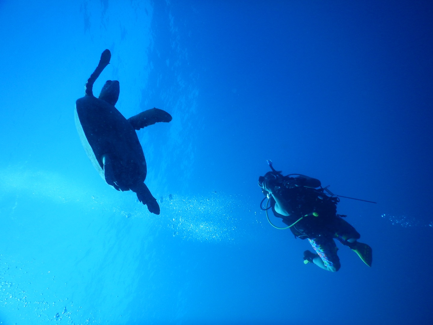 休闲水肺,休闲水肺潜水深度不超过多少米