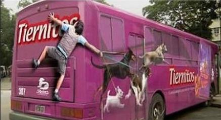 那些你想不到的电动车,公交车广告越来越多