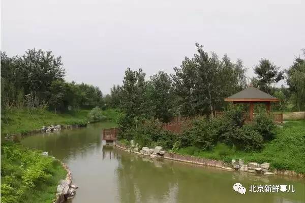 北京赏花踏青自驾游,北京国家森林公园踏青