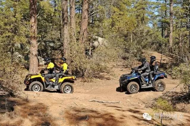 沙滩车实用性有多大,沙滩车有多少个档位