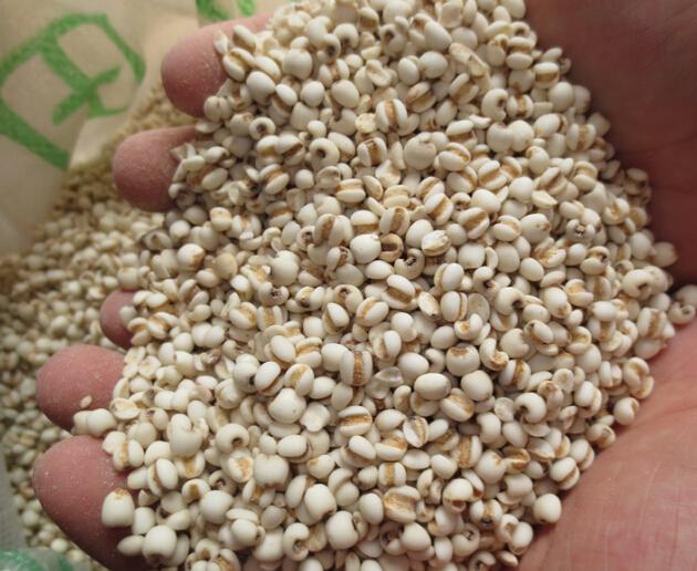 拔罐的危害到底有多可怕,拔罐后千万不要做这3件事