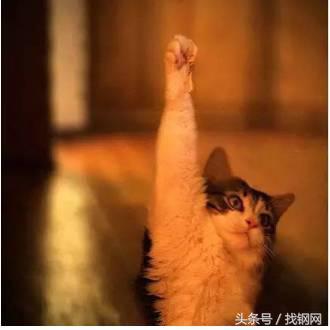 钢材销售员的一天，简直太形象了！笑喷……