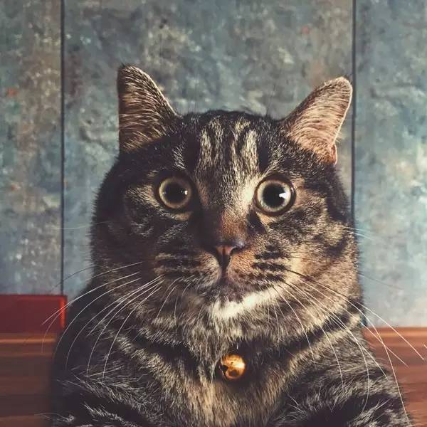 马来西亚槟城旅游住宿,马来西亚槟城酒店住宿