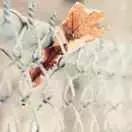 万事屋时光机开启,穿越回去看看一年前的你