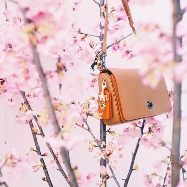 coach蔻驰包包1982,coach蔻驰包包翻新