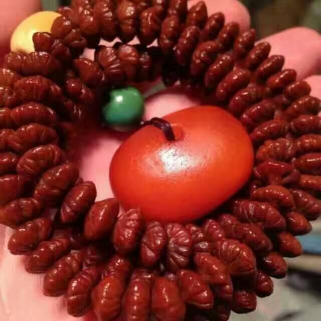 文玩菩提子的品种与分类,文玩菩提子怎么盘红得快