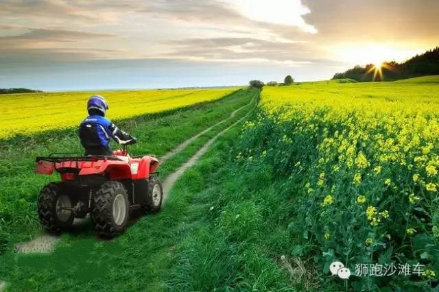 沙滩车实用性有多大,沙滩车有多少个档位