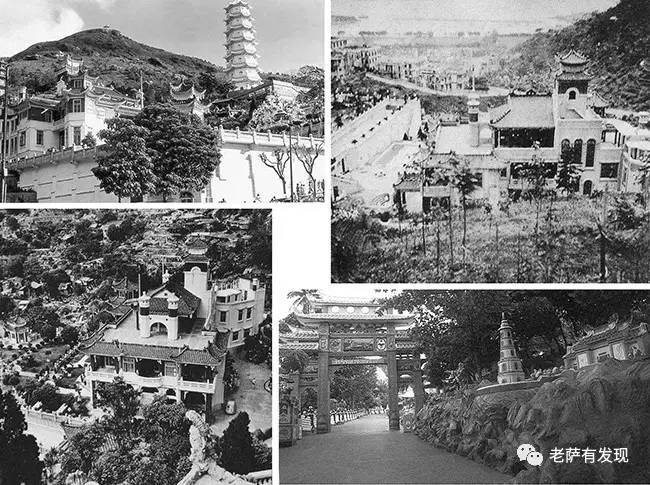 胡一虎曾子墨,胡一虎南海